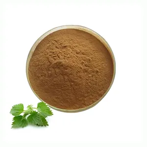 ISO Certification Nettle Root Powder Food Grade 10:1 Nettle Extract Powder
