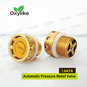 2026 Nueva Válvula de Alivio de Presión Automática de Alta Calidad para Electrodomésticos, Piezas para Cámara de Oxígeno Hiperbárico HBOT - Product Image 4