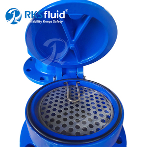 Válvula de aleta de remanso de extremo de brida de hierro dúctil serie Satyr DN100 DN150 para aguas residuales con estructura robusta - Product Image 2