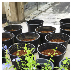 Venta caliente de plástico negro <span class=keywords><strong>vivero</strong></span> 5 galones planta para palm plantas - Product Image 2