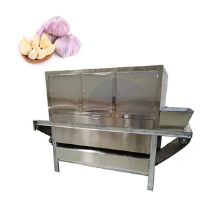 Commercial Garlic Seed Separator Equipment Garlic Clove Splitter Peel Machine For India Market