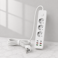 Cordon d'extension électrique multifonctionnel de 2 m avec 3 prises européennes en laiton, trou spécial et chargement USB-C, fabriqué sur mesure