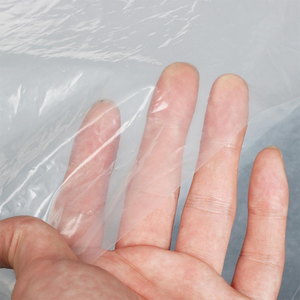 Film de serre agricole double couche à haut tunnel de petite taille avec protection UV pour la culture de tomates - Product Image 3