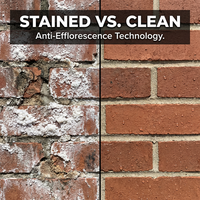 Revêtement anti-efflorescence pour maçonnerie, à pénétration profonde, hydrofuge à base d'eau, barrière contre le sel pour les murs