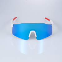 Protection UV professionnelle lunettes de sport lunettes polarisées photochromique bleu lentille Pc lunettes de cyclisme pour adulte unisexe