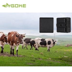 Traqueur de bétail GPS <span class=keywords><strong>solaire</strong></span> V24 Collier de vache pour le positionnement du collier de suivi GPS des moutons de vache - Product Image 2