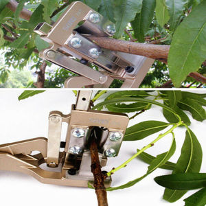 Herramienta <span class=keywords><strong>Profesional</strong></span> <span class=keywords><strong>para</strong></span> Injertos de Árboles Frutales y Viñas de Jardín - Product Image 5