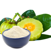 Fabrieksleverancier Garcinia Cambogia Extract Poeder 50% 60% HCA Hydroxycitroenzuur Natuurlijk Gewichtsbeheersing Kruiden Grondstof