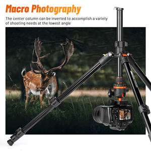 ขาตั้งกล้องอลูมิเนียมแบบมืออาชีพ ขนาด 67 นิ้ว ความสูงสูงสุด 4 ขา หัวบอลหมุนได้ 360 องศา พร้อมระดับน้ำในตัว ดีไซน์พกพาสะดวก ระบบล็อคแบบพลิก รองรับน้ำหนักได้ถึง 10 กก. - Product Image 5