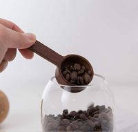 Cuillère doseuse en bois massif de noyer noir, manche court ou long, style européen, pour café en grains et poudre