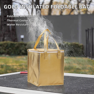 Gold Insulated Thermal Cooler Foldable Ice Pack Portable Nonwoven Lunch Bag Picnic Pizza Delivery Cake Carrier Moisture Proof - Product Image 2