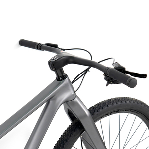 Nouvelle Conception 2026 – Fourche Rigide VTT <span class=keywords><strong>Vintage</strong></span> en Fibre de Carbone 29 pouces avec 12 Vitesses et Pédales Standard pour le Downhill - Product Image 2