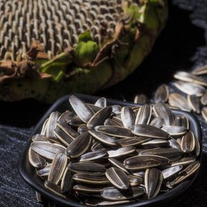 Wholesale Organic Raw Dried <strong>Chinese</strong> <strong>Sunflower</strong> <strong>Seeds</strong> 25kg Packing Bag Price Per Ton 261 363 5009 T6 T20 - Product Image 3