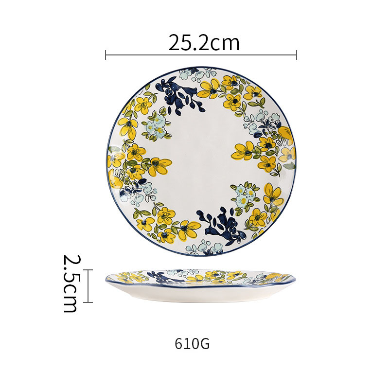 white 10 inch plate