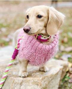 Laisse pour chien en corde tressée faite à la main de 5 pieds avec poignée en cuir véritable de qualité supérieure, confortable et durable, 100% coton naturel - Product Image 4