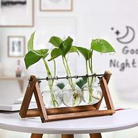 Pot tanaman terarium dudukan kayu pot bohlam vas kaca pemegang putar logam meja Retro hidroponik rumah-3 bohlam vas