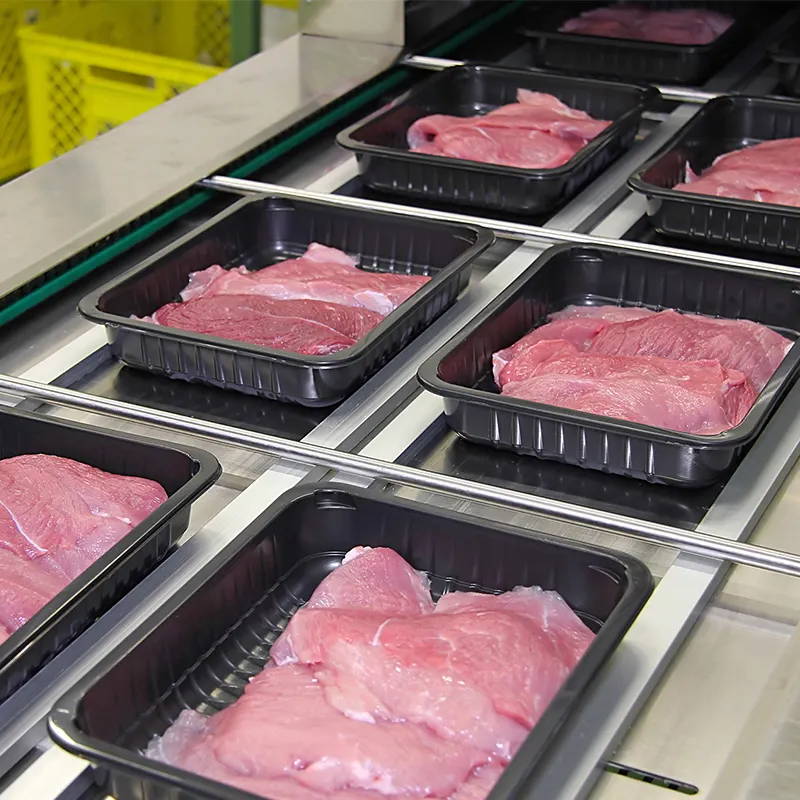 Plateau de cornue PP, plateaux thermoformés de viande congelée d'huître, plateau de nourriture de boeuf en plastique polystyrène jetable personnalisé