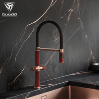 Robinet de cuisine de luxe, extractible, en acier inoxydable, mitigeur de cuisine à poignée unique, robinet flexible gourmet pour évier de cuisine