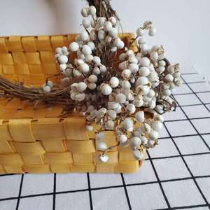 Petites fleurs <span class=keywords><strong>de</strong></span> lait, vente chaude, baies blanches séchées naturelles, usine du Yunnan, mariage, festival, fête à domicile, couronne, décoration DIY - Product Image 6