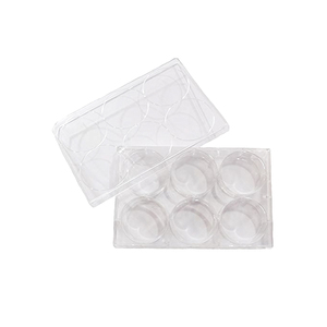 Microplates <span class=keywords><strong>6</strong></span> 12 24 48 96 Lubang Lubang Jaringan <span class=keywords><strong>Cell</strong></span> <span class=keywords><strong>Culture</strong></span> <span class=keywords><strong>Plate</strong></span> dengan TC Diobati - Product Image 4