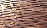Panneau mural en bois massif décoratif pour l'intérieur