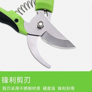 Sécateur Guanglong Works, lame de 50 mm, diamètre de coupe de 30-50 mm, acier allié, tête droite, outil de jardinage - Product Image 4