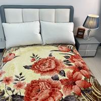 Fabrik benutzer definierte Größe Gewicht Logo Dicke Nerz Decke Großhandels preis Flanell Polyester Bewölkte Decken für Schlafzimmer