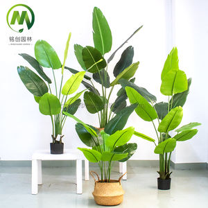 Arbres et bananier artificiels de bonsaï de PE vert simulé élevé pour la décoration d'intérieur en vente - Product Image 4