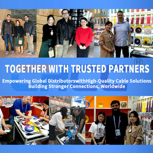 Attaches en nylon ignifuges isolées pour équipements électriques et câblage de salle serveur, matériau nylon 66, libérables - Product Image 5