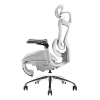 Sihoo Doro C300 nouveau Design 6D Bionic Joint accoudoir main courante oreiller lombaire réglable chaise de bureau ergonomique