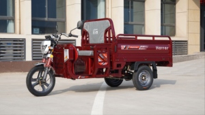 Triciclo Eléctrico de 800W 60V40AH, Motocicleta de Carga de 3 Ruedas para Adultos, Alta Capacidad de Carga, Largo Alcance, Neumáticos de Alta Adherencia, E-Trike - Product Image 4