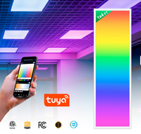 Lumière LED plate intelligente contrôlée par l'application Tuya Wifi 1*4FT 50W RGBCW Premium