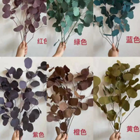 Feuilles de pomme naturelles séchées et préservées, feuillage éternel pour la décoration intérieure et les arrangements floraux
