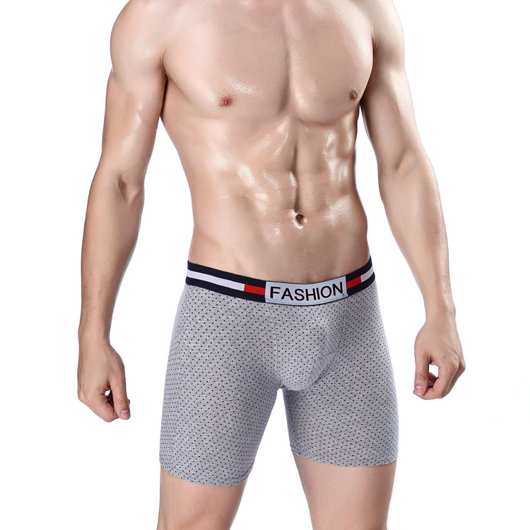 guapos en boxer
