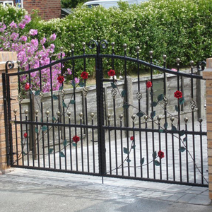 Porte d'entrée coulissante moderne simple <span class=keywords><strong>en</strong></span> fer forgé <span class=keywords><strong>pour</strong></span> la maison - Product Image 3