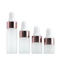 Flacon compte-gouttes en verre transparent brun rose de 1 ml, 2 ml, 3 ml, 5 ml, mini flacon d'huile essentielle en verre, cercle noir, argenté, or rose