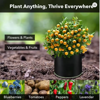 Sacs de culture pour légumes/fleurs/plantes 1/2/3/5/7/10 gallons, pots en tissu non tissé épaissi, écologiques, durables, avec aération, pour jardin