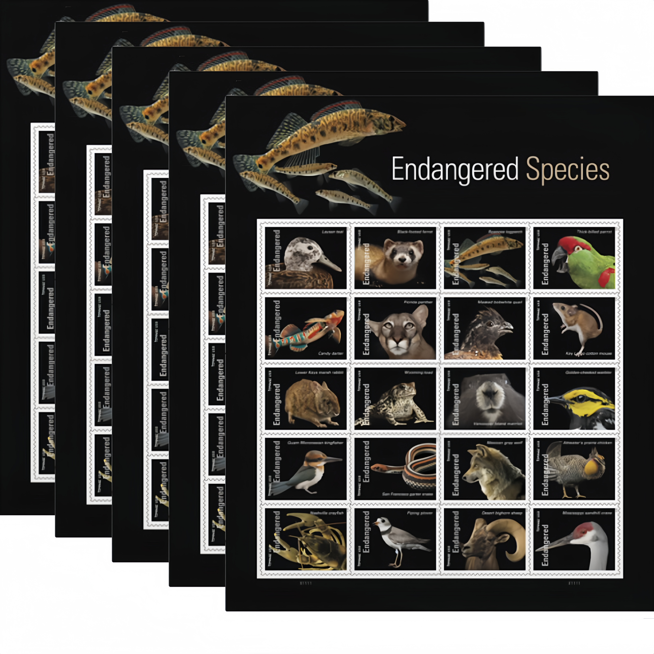 2023 Endangered Species   MY-RX181