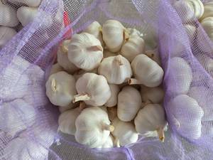 Proveedor de Ajo Blanco Puro Fresco de Shandong, Venta al por Mayor con Empaque en Bolsa de Malla, Nueva Cosecha de Primera Calidad - Product Image 2