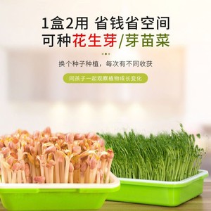 Caja de cultivo hidropónico para brotes de cacahuete, bandeja para plántulas de cacahuete, maceta para germinación de brotes de frijol, bandeja de cultivo hidropónico. - Product Image 1