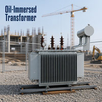 Transformateur de distribution triphasé immergé dans l'huile 20kVA 25kVA 30kVA 6kV 10kV pour usage agricole et parcs industriels