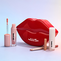 Coffrets Cadeaux Cosmétiques Brillants : Kit Combiné Gloss à Lèvres, Crayon à Lèvres, Baume à Lèvres Imperméable – Marque Privée Fournisseur