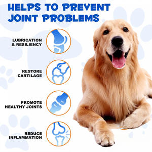 Vente en gros de supplément sain pour chien 60ml Goutte de liquide pour la hanche et les articulations Prévenir et traiter le supplément d'entérite pour chiens et chiots chats - Product Image 3