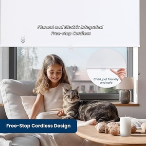 Desain Baru Profesional Tirai Gulung Manual dan Elektrik Terintegrasi Tanpa Kabel dengan Operasi Halus Naik Turun untuk Jendela - Product Image 3