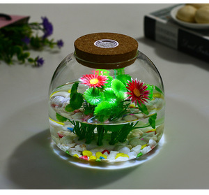 Vase en verre borosilicate transparent <span class=keywords><strong>de</strong></span> 1600 ml, terrarium hydroponique avec lumière LED colorée, <span class=keywords><strong>bouchon</strong></span> en liège pour plantes - Product Image 3