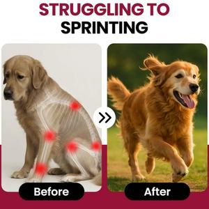 Integratore per la Salute delle Articolazioni del Cane in Polvere con MSM, Supporto Sicuro ed Efficace per Anche e Articolazioni, Prodotto per la Cura degli Animali Domestici - Product Image 2