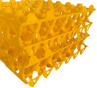 Caisses à œufs en PEHD, couleur personnalisable, 30 alvéoles, durables et recyclables, excellente protection avec fonction pliable