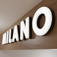 Lettres en relief 3D Daco Sign avec éclairage frontal LED, design gratuit, étanches IP65, garantie 5 ans, OEM/ODM, éclairage décoratif, publicité