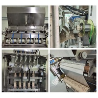 CE High Speed 5-Lane Fully Automatic Three-Side Seal 0.5g/1g//5g Sachet Packing Machine for Salt Sugar Desiccant Granule