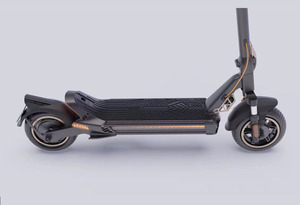 Trottinette pliable 10 pouces pour adultes, pratique pour la conduite debout, avec moteur 800W, capteur intelligent, charge maximale 120kg - Product Image 4